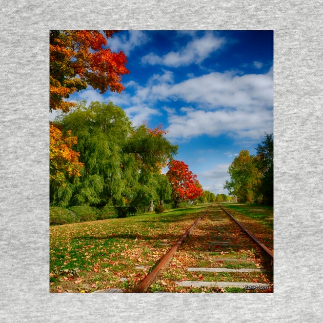 Railroad Tracks at Grand-Pre National Historic Site by kenmo